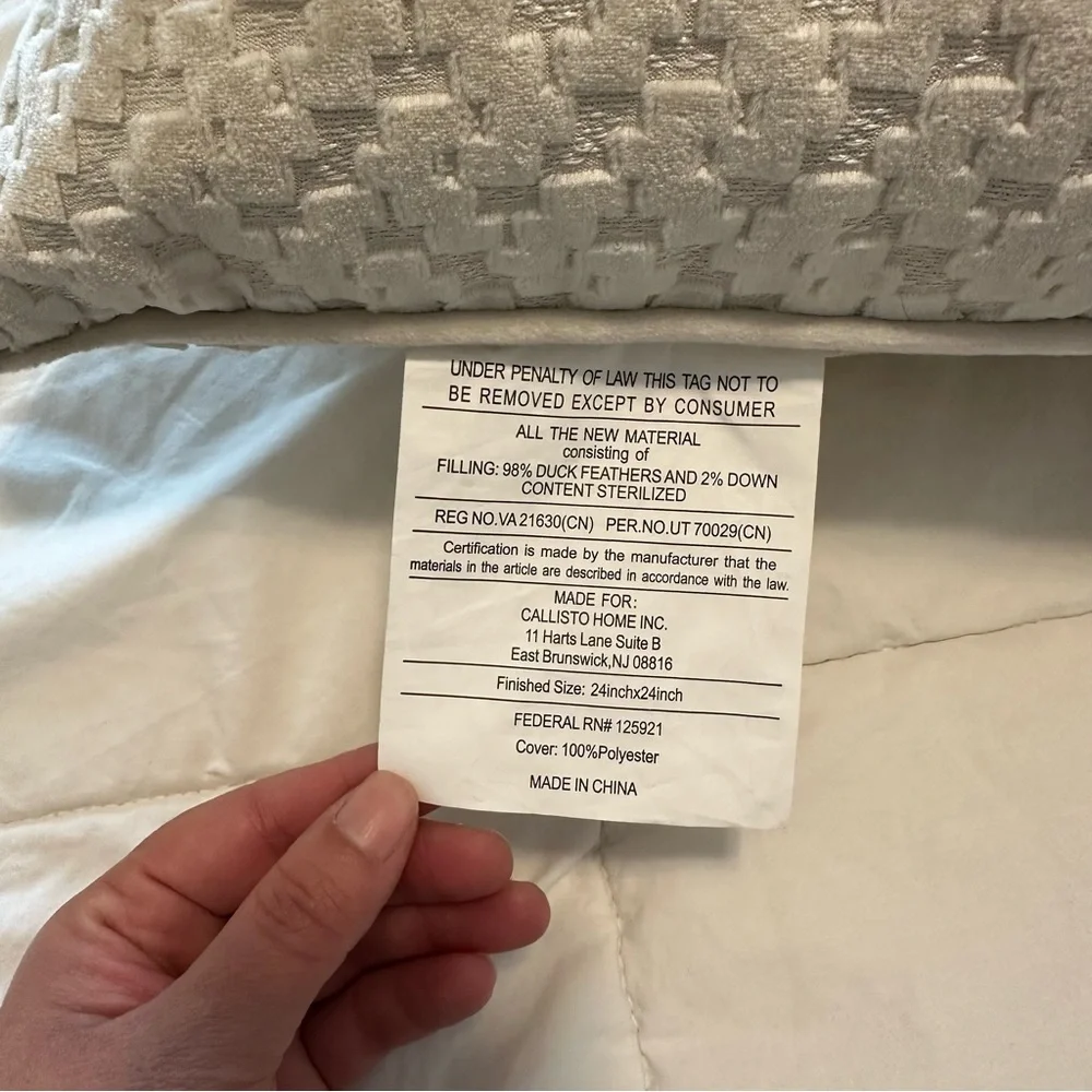 Callisto Home Cream Textured Pillow